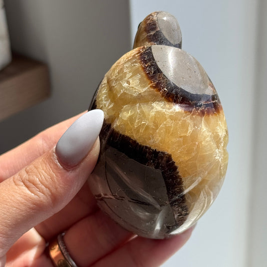 Septarian Turtle #8