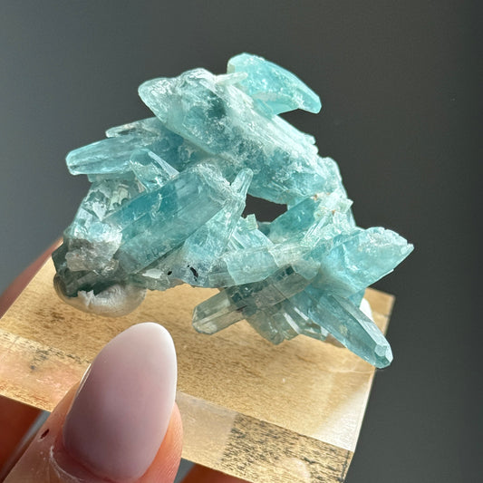 Tapered Aquamarine Specimen (Mimoso del Sol, Espirito Santo, Brazil 1992) #3