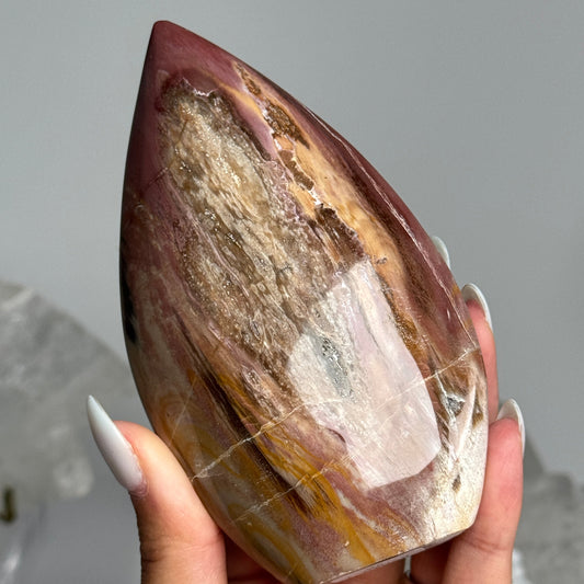 Petrified Wood Flame #1