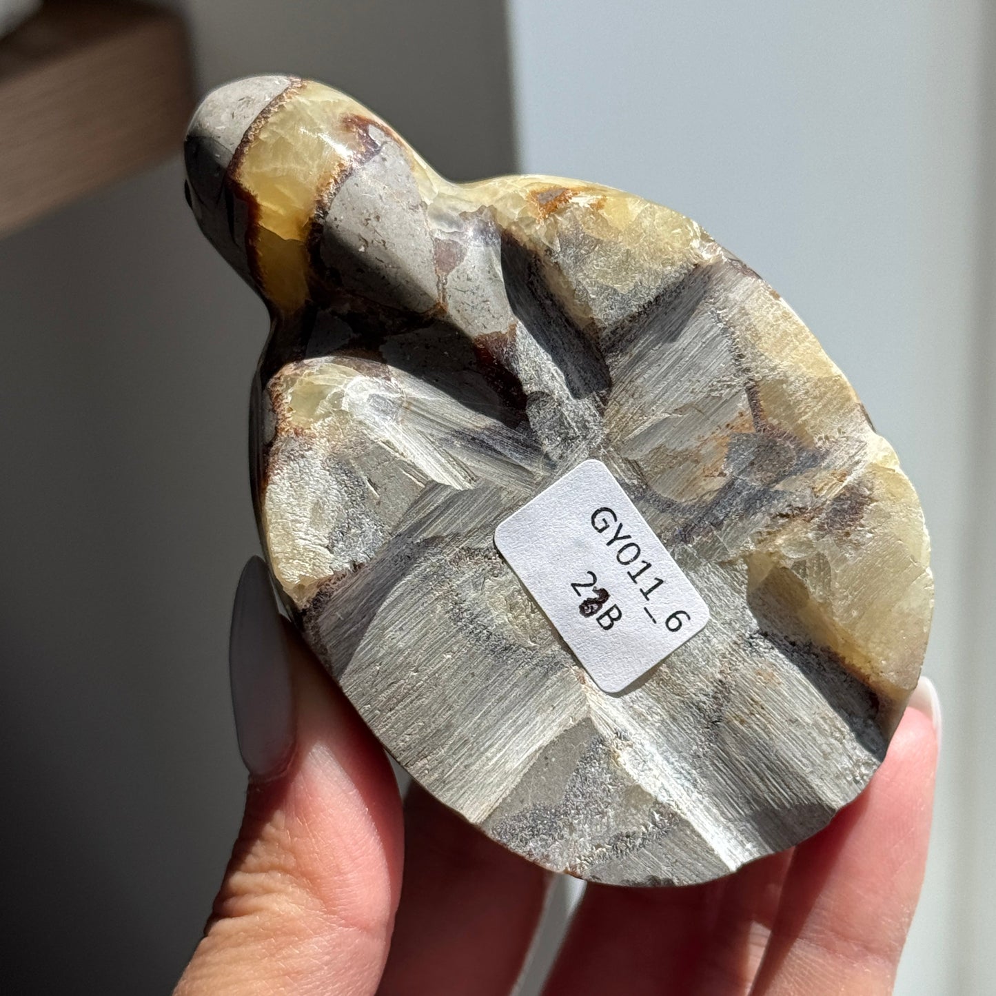 Septarian Turtle #6