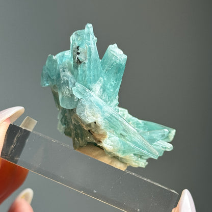 Tapered Aquamarine Specimen (Mimoso del Sol, Espirito Santo, Brazil 1992) #1