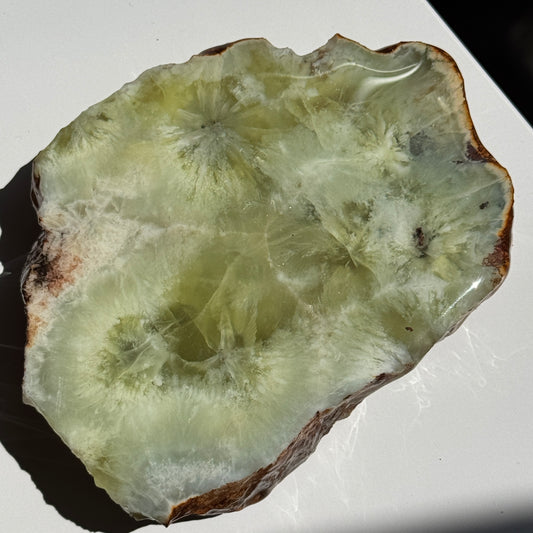 Australian Prehnite Half Polished #5