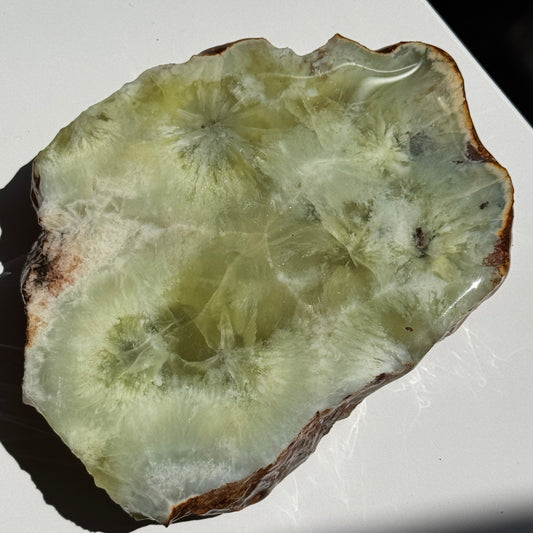Australian Prehnite Half Polished #5
