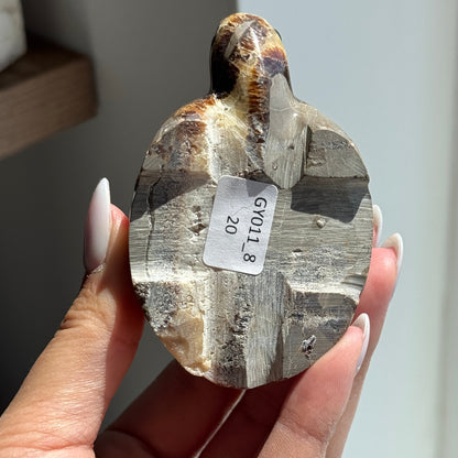 Septarian Turtle #8
