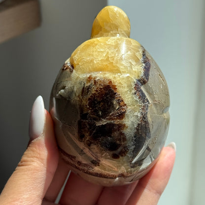 Septarian Turtle #2