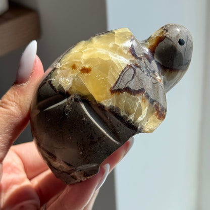 Septarian Turtle #6