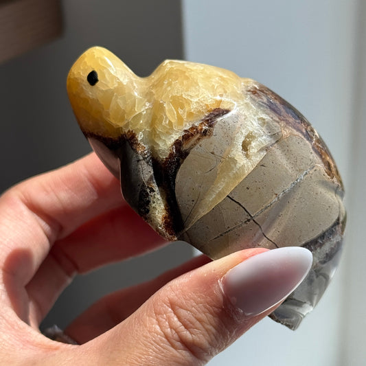 Septarian Turtle #3