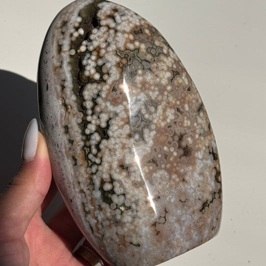 OJ Freeform T25 #12
