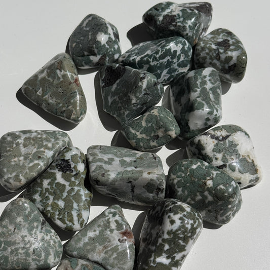 Camouflage Jasper