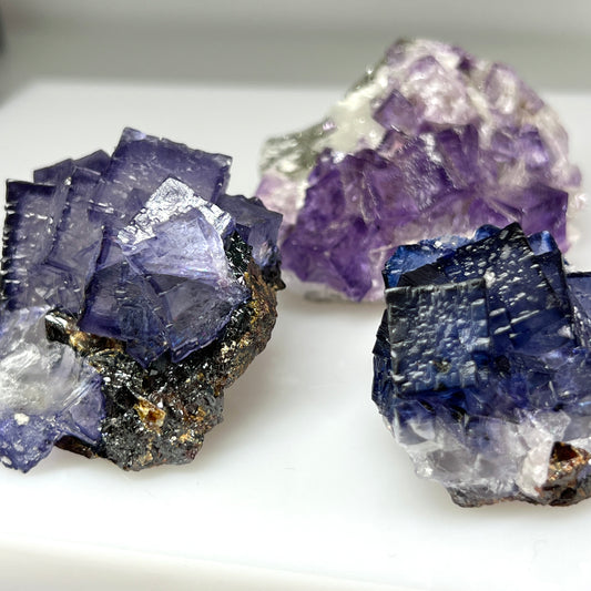 Fluorite w/ Sphalerite (Elmwood Mine)