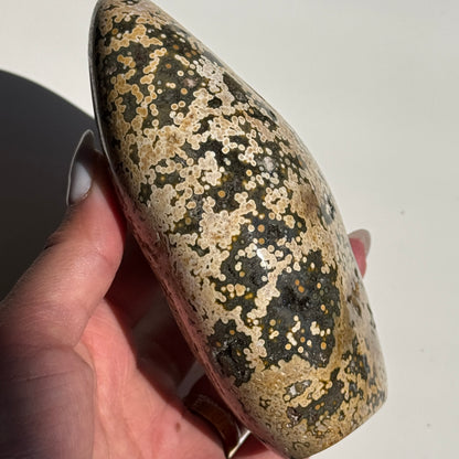 OJ Freeform T25 #8
