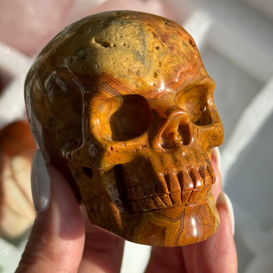 Skull Carving - Crazy Lace Agate #12, front view showing golden-brown, cream and dark lace-like banding.