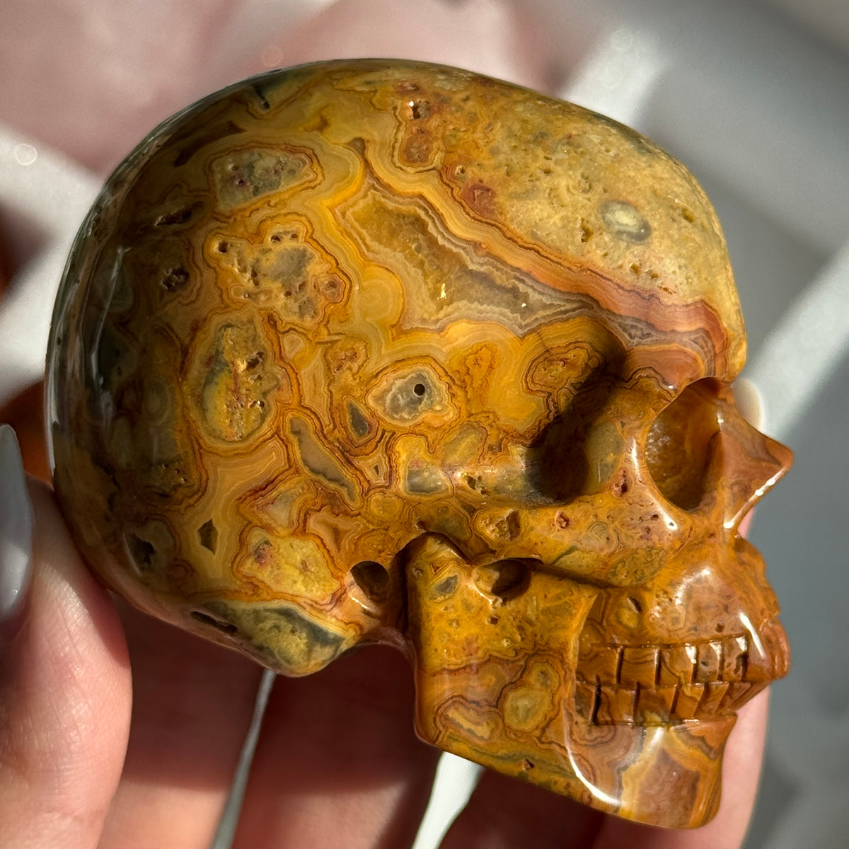 Skull Carving - Crazy Lace Agate #12, side view showing golden-brown, cream and dark lace-like banding.