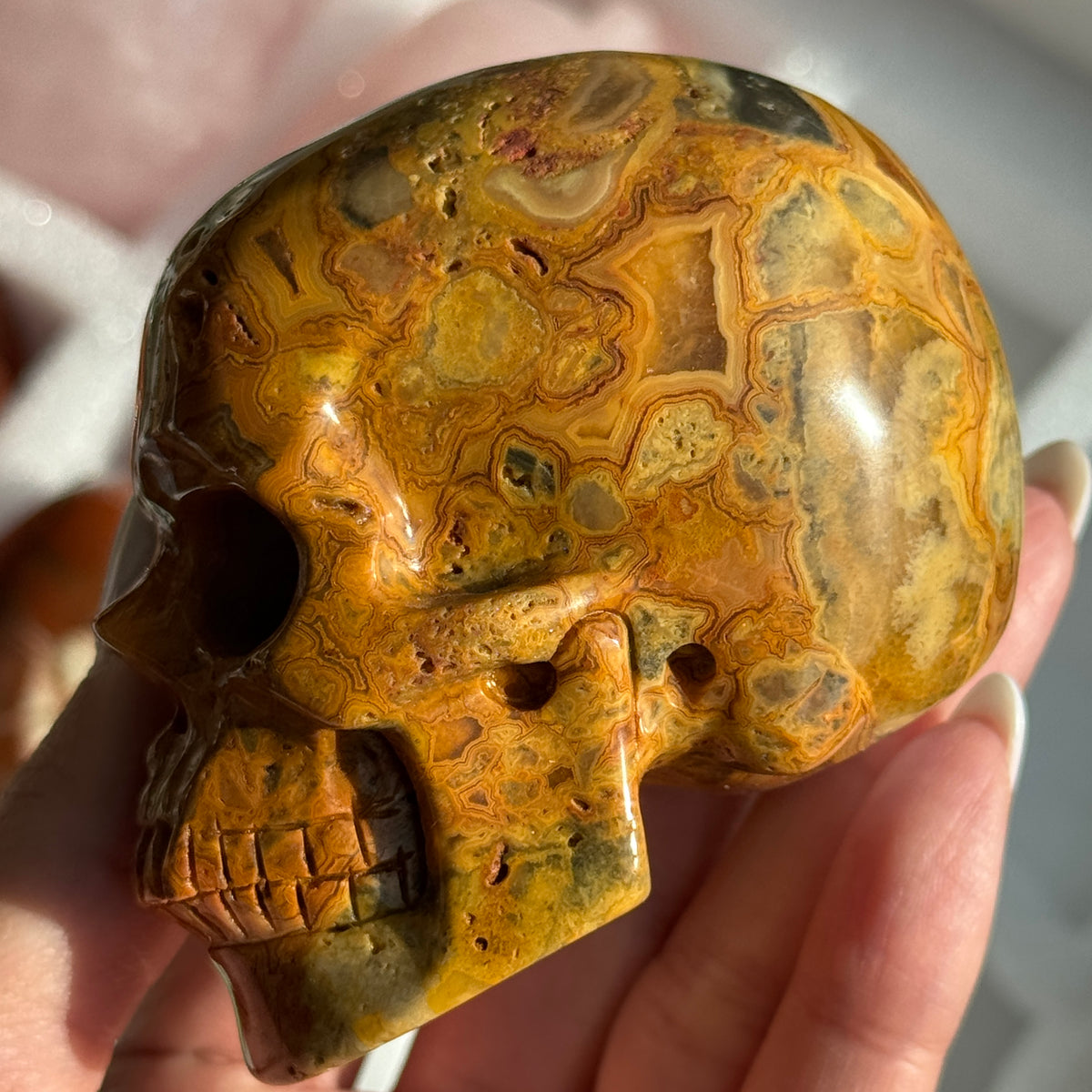 Skull Carving - Crazy Lace Agate #12, opposite side view showing golden-brown, cream and dark lace-like banding.
