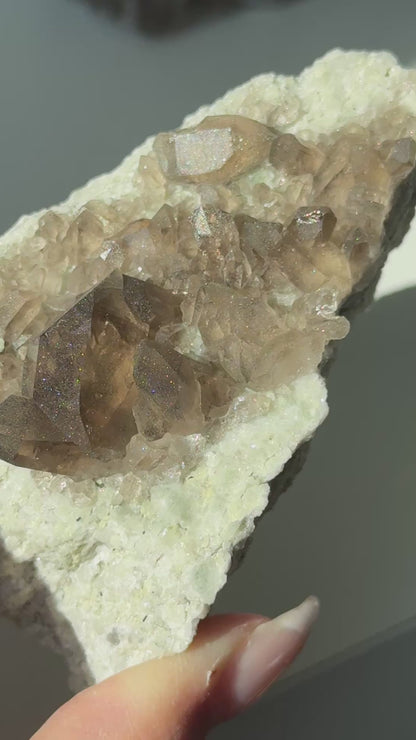 Gwindel Quartz Cluster Specimen on Matrix [Talefre Glacier, Chamonix, French Alps] #6