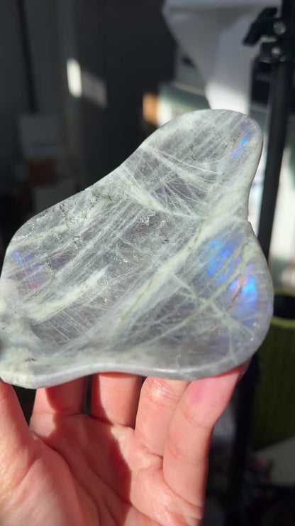 Labradorite Bowl #1
