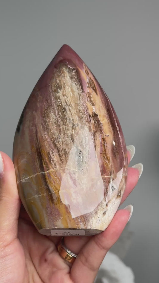 Petrified Wood Flame #1