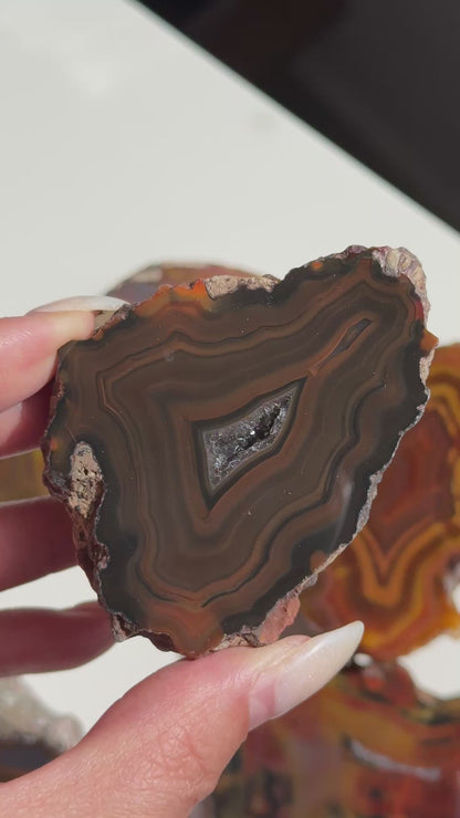 Condor Agate Geode [Argentina] #33