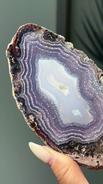 XL Statement Starry Night Agate Geode #21a