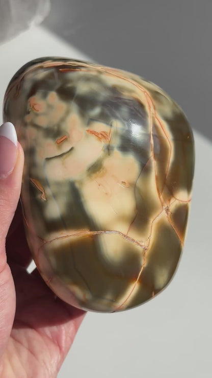 Carnelian Orca Agate Freeform #17