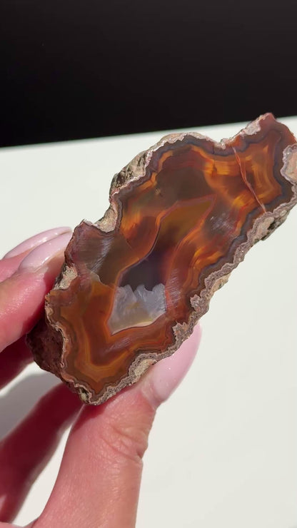 condor agate argentina