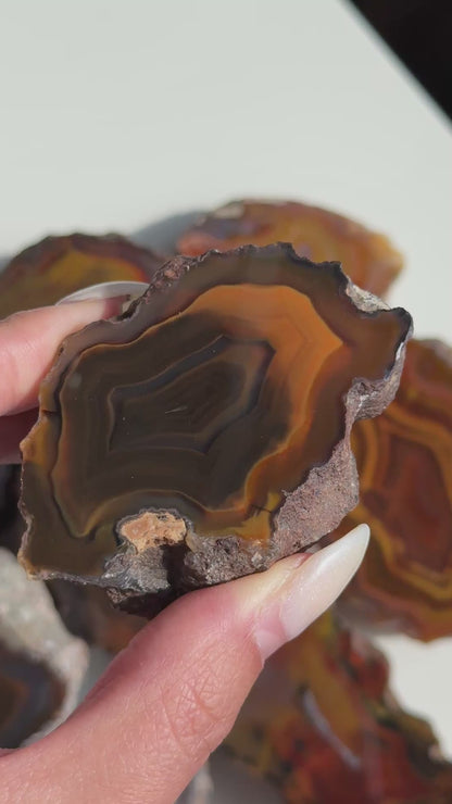Condor Agate Geode [Argentina] #32