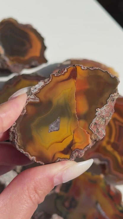 Condor Agate Geode [Argentina] #27