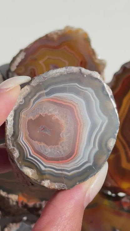 Condor Agate Geode [Argentina] #17