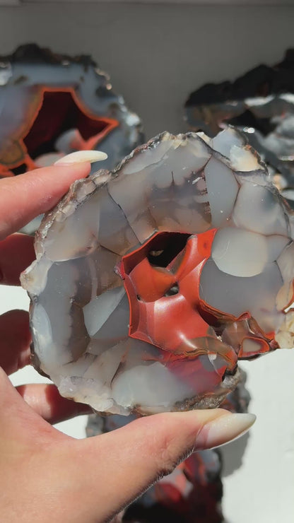 Red Fox Agate Geode (UV Reactive) #1