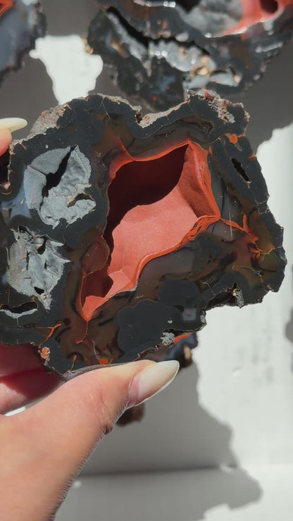 Red Fox Agate Geode (UV Reactive) #3