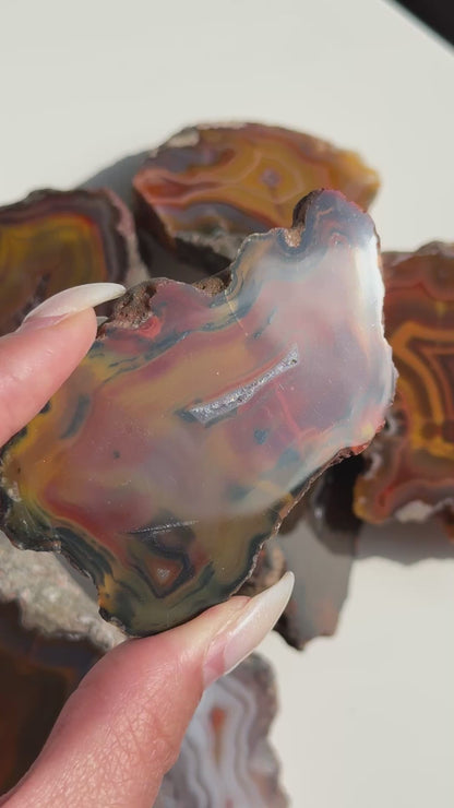 Condor Agate Geode [Argentina] #18