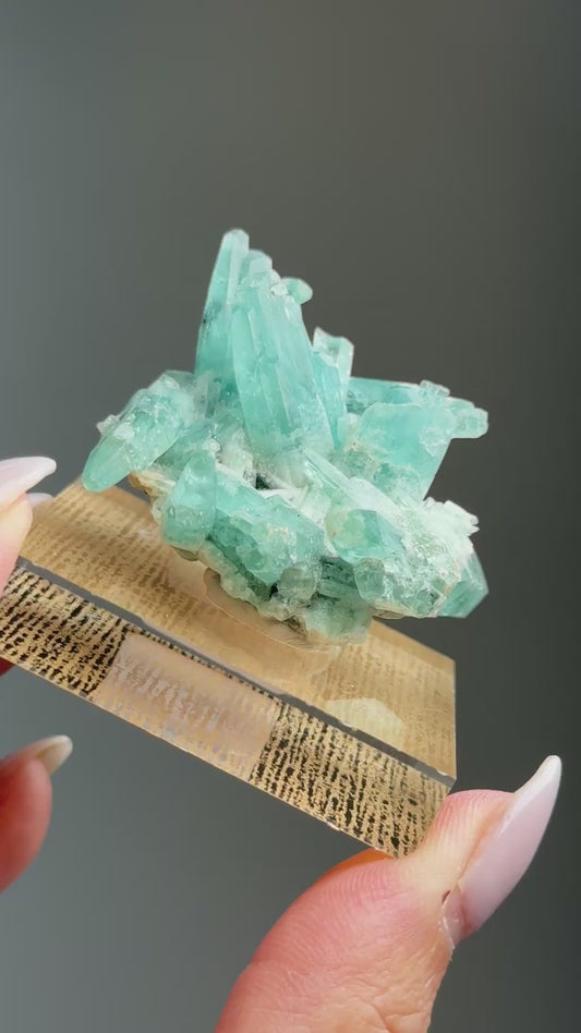 Tapered Aquamarine Specimen (Mimoso del Sol, Espirito Santo, Brazil 1992) #1