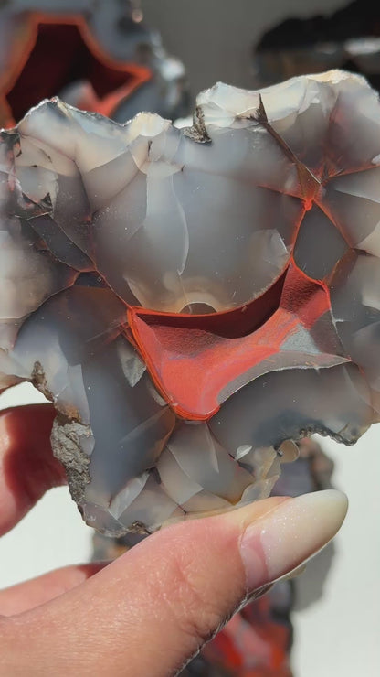 Red Fox Agate Geode (UV Reactive) #6