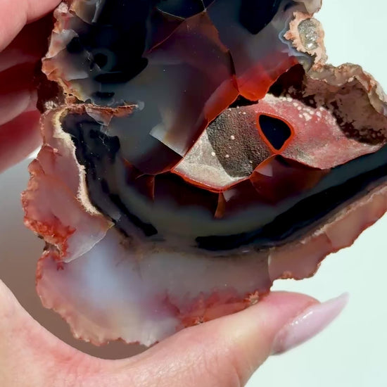 red fox agate argentina