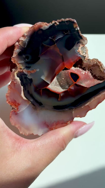 red fox agate argentina