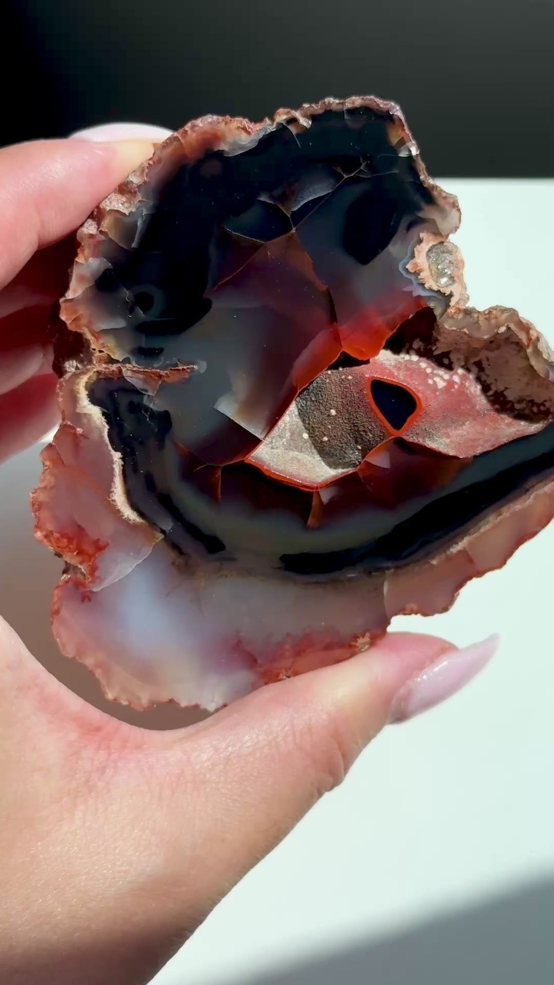 red fox agate argentina
