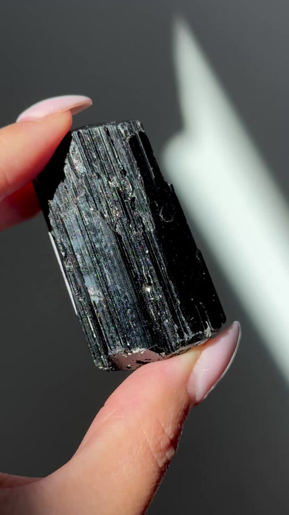 Black Tourmaline Specimen #14
