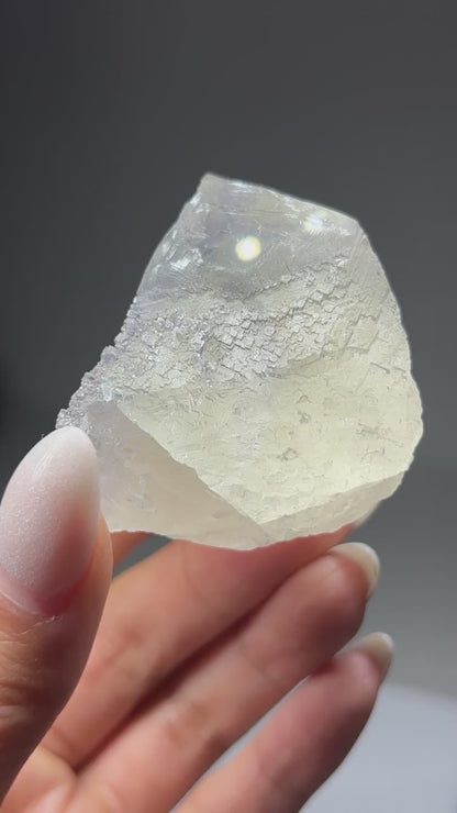 Fluorite w/ Sphalerite (Elmwood Mine)
