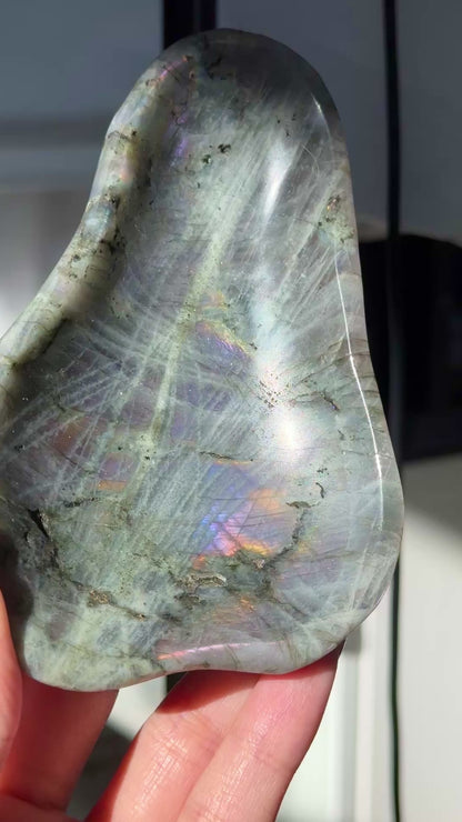 Labradorite Bowl #16