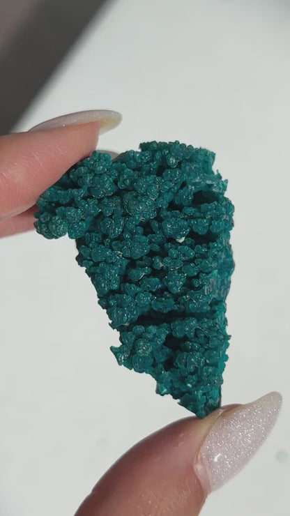 Cunyari Chrysocolla