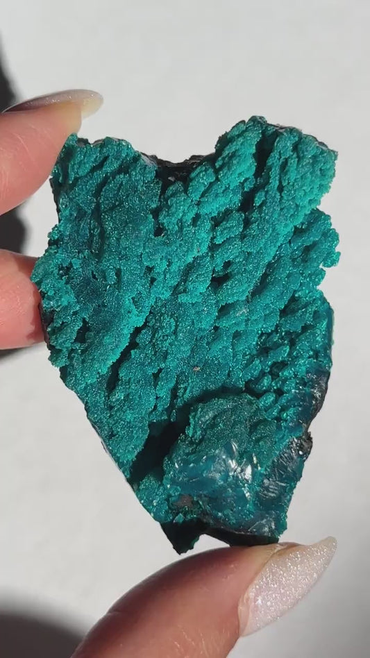 Cunyari Chrysocolla