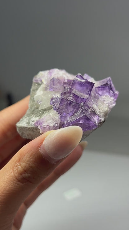Fluorite w/ Sphalerite (Elmwood Mine)