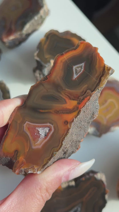 Condor Agate Geode [Argentina] #35