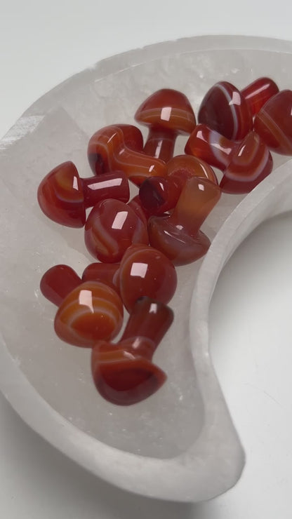 Carnelian Mini Mushrooms