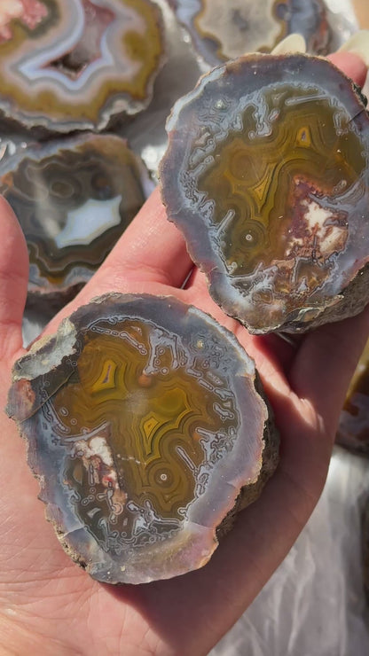 High Atlas Mt Moroccan Agate Pair [Ouarzazate, Morocco] #4