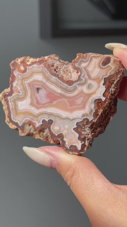Pink Laguna Agate Geode #1