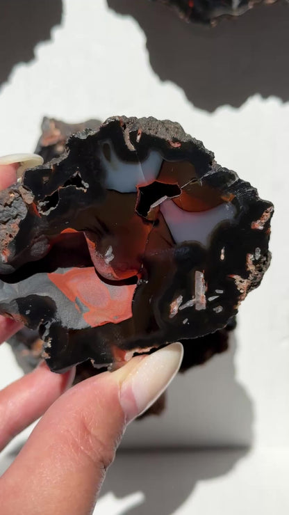 Red Fox Agate Geode (UV Reactive) #11