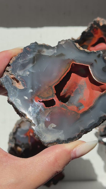 Red Fox Agate Geode (UV Reactive) #4
