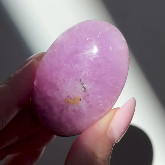 pink aragonite palm