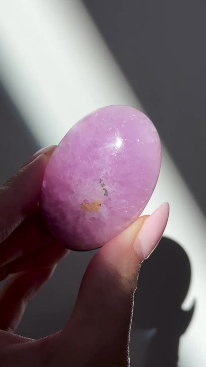 pink aragonite palm